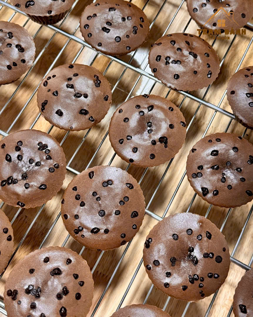Bánh Protein Chocolate