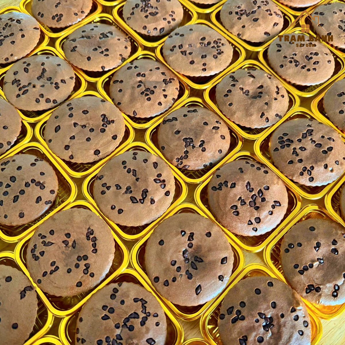 Bánh Protein Chocolate